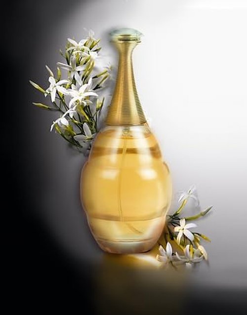 Regine Switzerland Women's Perfume Gift Set - Floral & Fruity Eau de Parfum Collection | 3.4 FL OZ Each (Pack of 4)