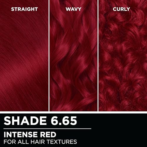 Garnier Hair Color Olia Ammonia-Free Brilliant Color Oil-Rich Permanent Hair Dye, 6.3 Light Golden Brown, 1 Count (Packaging May Vary) (Pack of 2)