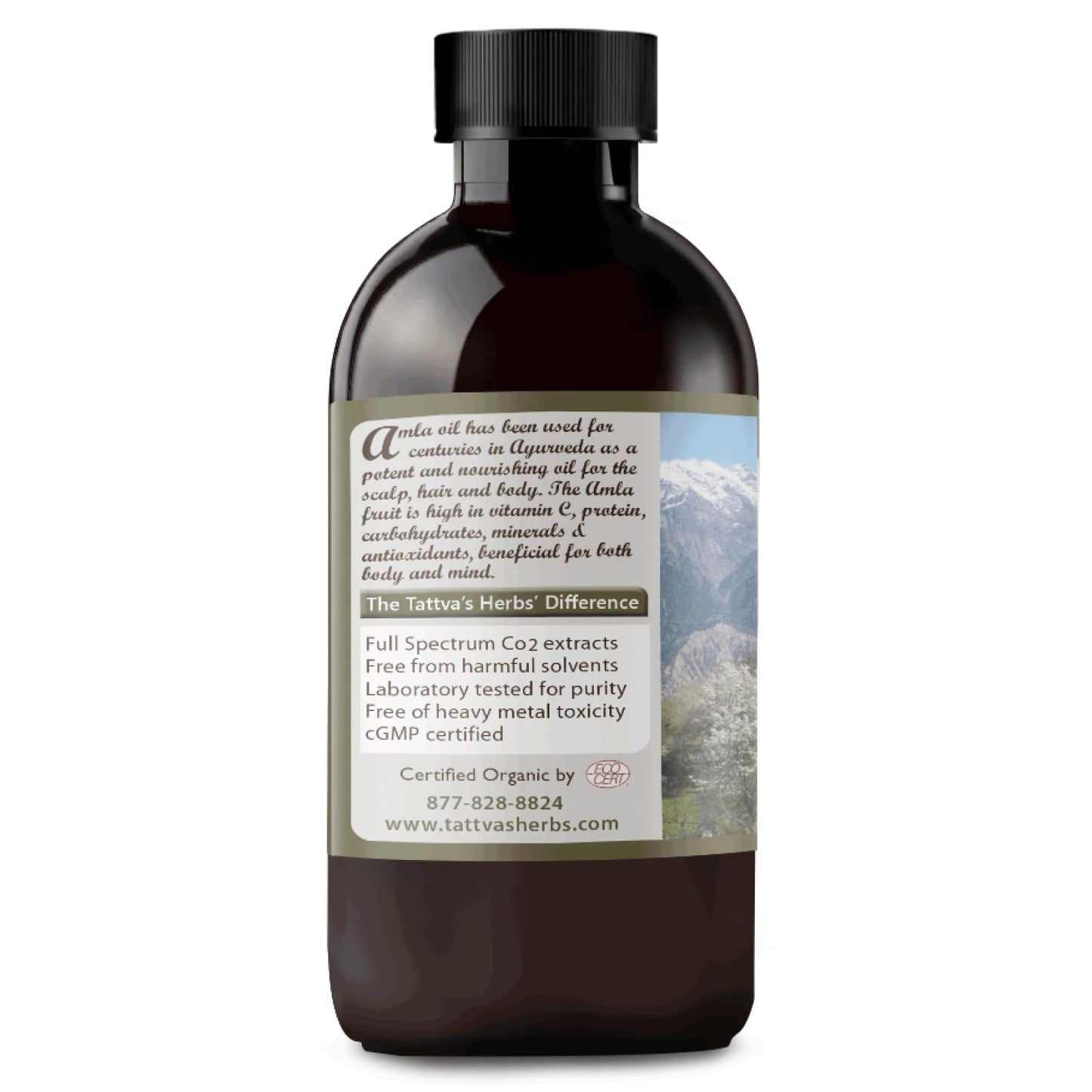 Tattva's Herbs Amla Oil, Amla Hair Oil for Hair Growth & Scalp Treatment, Cold Pressed & Unrefined, Indian Hair Oil, Alma Oil for Hair Growth, 8 oz Bottle, 25 Years Of Premium Service