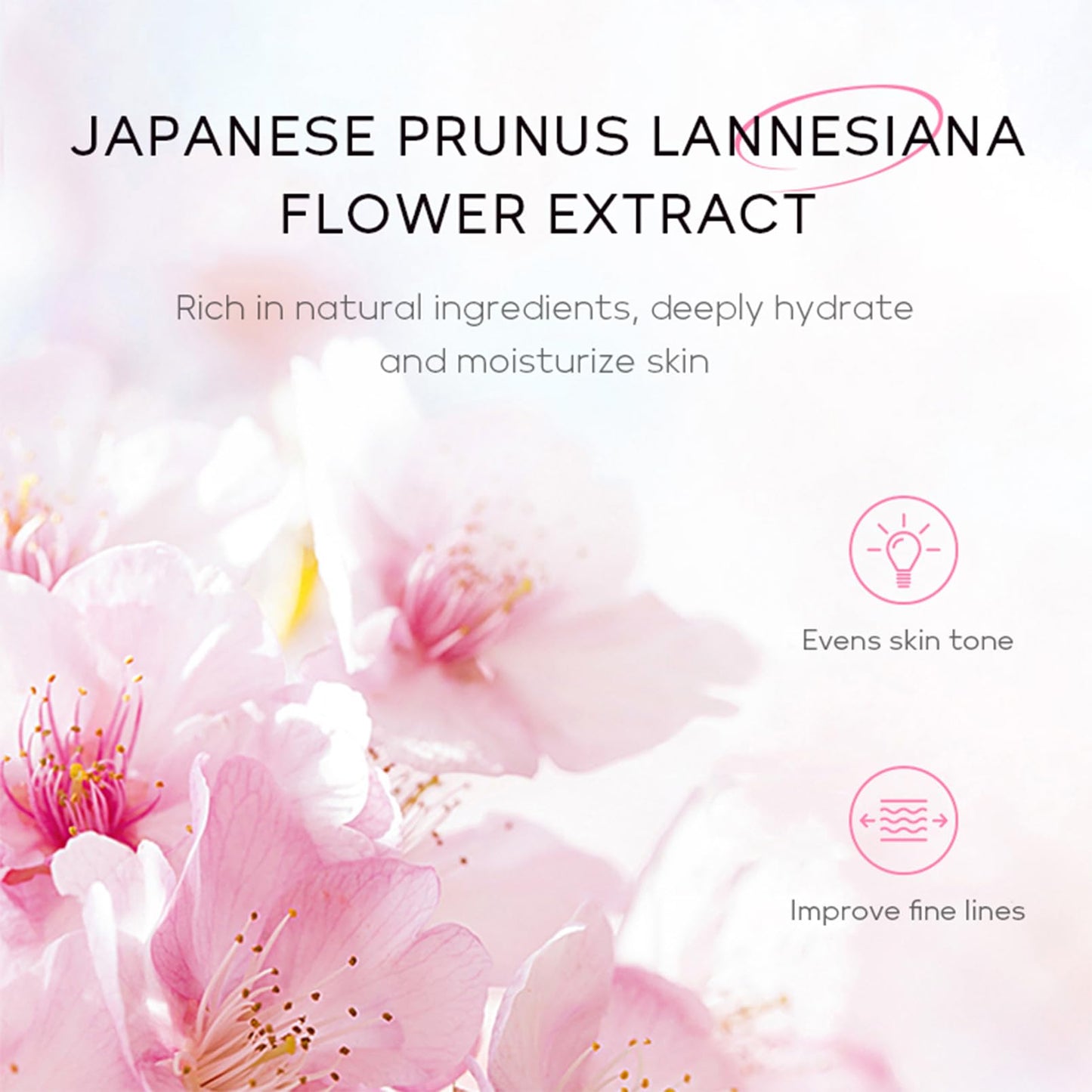 Sakura Skin Daily Skincare Set Gentle Skin Cleaning & Care Teenage Girls and Women Gift Set, Cherry Blossom Skin Care Sets & Kits, Facial Kit for Women & Girls, Hydrating & Soothing Travel Skincare
