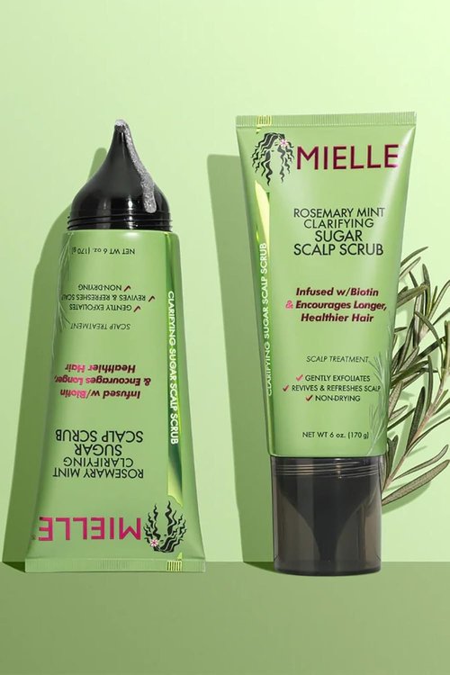 Mielle Organics Rosemary & Mint Scalp Scrub - Gentle Exfoliating Pre-Shampoo Treatment | Biotin Infused, 6 Fl Oz