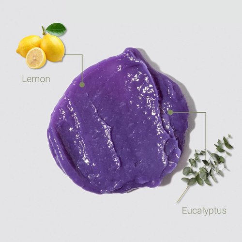 Loma Hair Care Violet Conditioner - Nourishing Lemon & Eucalyptus Formula | 12 Fl Oz