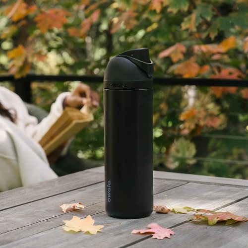 Owala FreeSip Insulated Stainless Steel Water Bottle - BPA-Free, 24 oz, Blue/Green Forest Fairy