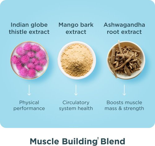 Ancient Nutrition Advanced Multi Collagen Protein Capsules - Support Muscle Health | 90 Count