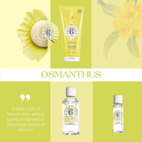 Roger & Gallet Body Wash & Shower Gel for Women - Fleur D'Osmanthus, 6.6 Oz | Luxurious Hydration