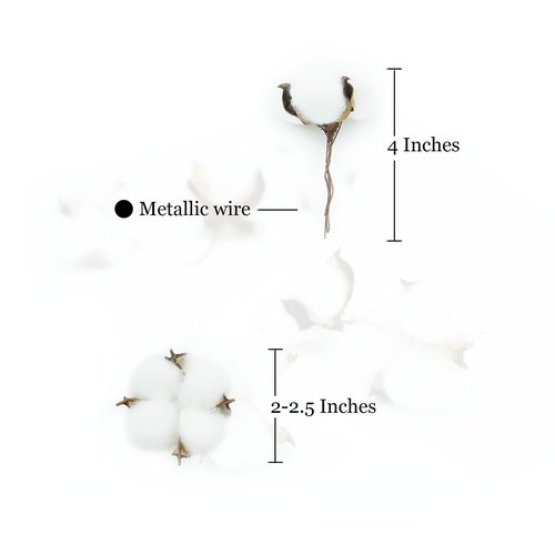 25 Pcs White Cotton Bolls Balls Decor, Dried Cotton Balls for Wreath Decorative, Home, Wedding Decor Balls