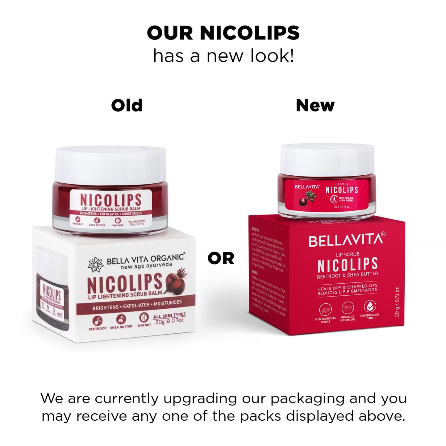 BellaVita Luxury NicoLips Lip Scrub 20gm | Lip Balm For Exfoliation & Dark Lip Moisturizing | With Goodness of Beetroot, Shea Butter & Walnut Lip Scrub | Lip scrubber exfoliator for Women and Men