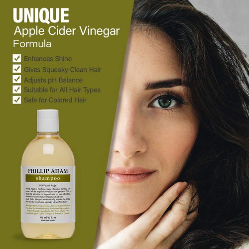Phillip Adam Verbena Sage Shampoo - Sulfate & Paraben Free for Shiny Hair | 12 Fl Oz, All Hair Types