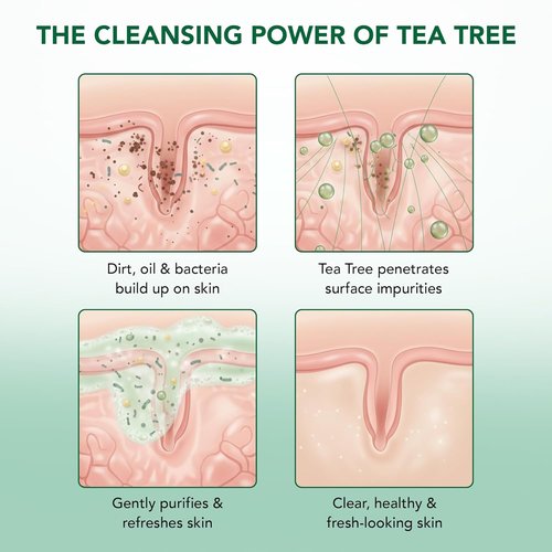 Botanic Hearth Tea Tree Body Wash - Infused with 100% Pure Tea Tree Oil & Coconut | Includes Dual-Sided Brush | 16 fl oz