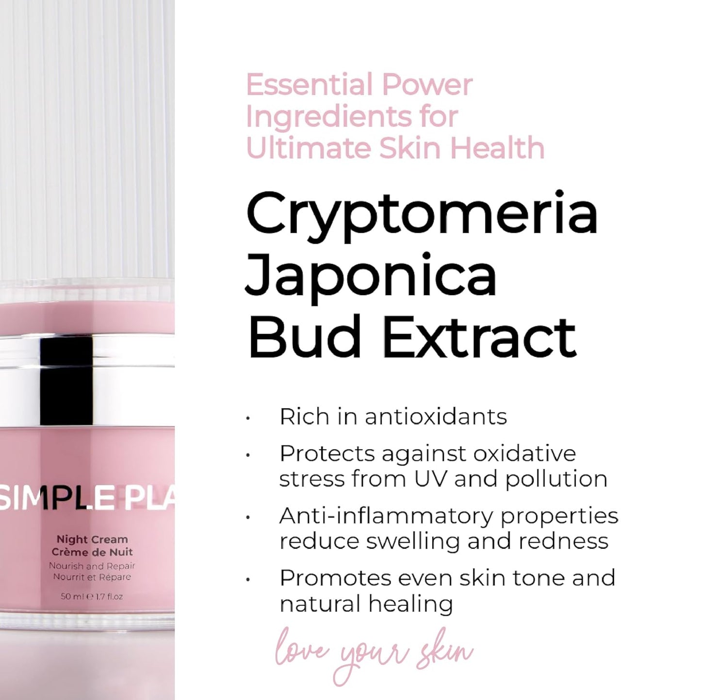 SIMPLE PLAN Hydrating Night Cream - Anti-Aging Face Moisturizer with Ceramides & Hyaluronic Acid | 50 ml