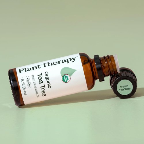 Plant Therapy Organic Tea Tree Oil - 100% Pure & USDA Certified Organic | Natural Aromatherapy 30 mL (1 oz)