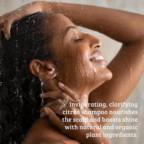Pharmacopia Citrus Shampoo - Natural Hair Care with Organic Aloe Vera & Jojoba Oil | 16 oz Vegan, Cruelty-Free