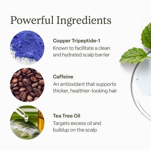 Divi Scalp Serum - Non-Greasy Formula with Amino Acids & Caffeine | Promotes Healthy Scalp & Fuller Hair