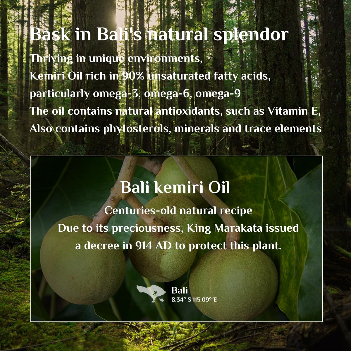 Bali Aga Kemiri Oil - Strengthening and Nourishing Hair Treatment, Split End Care, Plant-Based Comfort for Scalp, 2 Bottles
