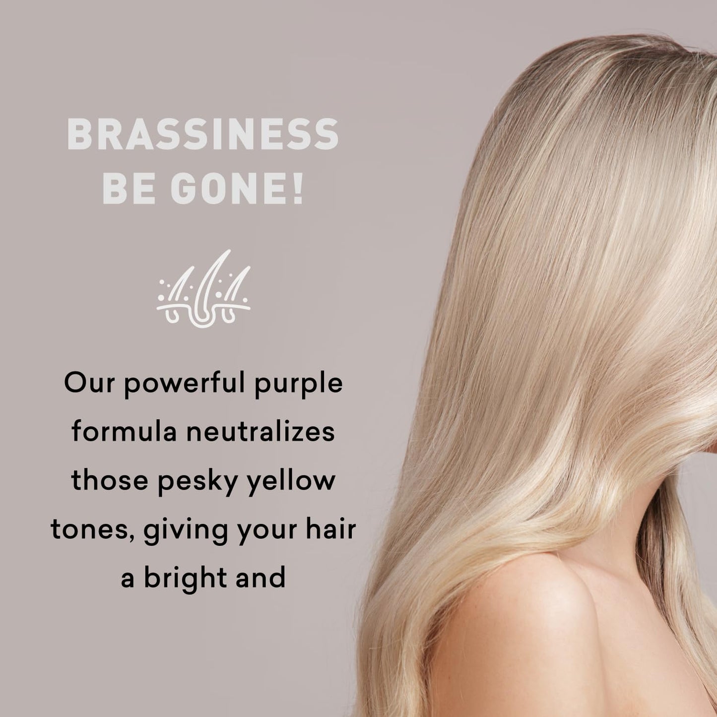 Just Nutritive Purple Conditioner for Blonde, Gray, White, Silver, and Bleached Hair - Eliminate Brassiness, Boost Shine, Repairs, Hydrates, Sulfate-Free, Paraben-Free, Gentle on Scalp, 8 oz.