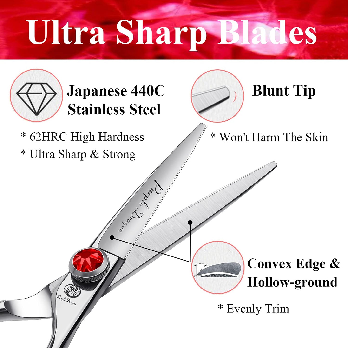 Purple Dragon 4.5/5.0 inch Silver Barber Hair Cutting Scissors/Shears with Bag- Perfect for Professional Hairstylist, Hairdresser (5.0 inch)