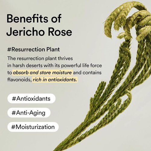 Abib Collagen Eye Cream - Jericho Rose Formula for Dark Circles & Puffiness | 30ml Tube