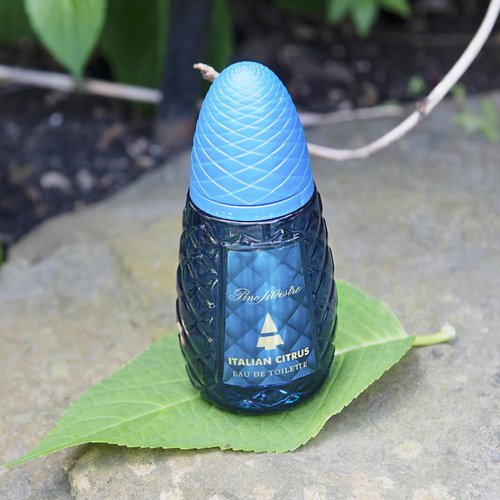 Italian Citrus by Pino Silvestre for Men - 2.5 oz EDT Spray