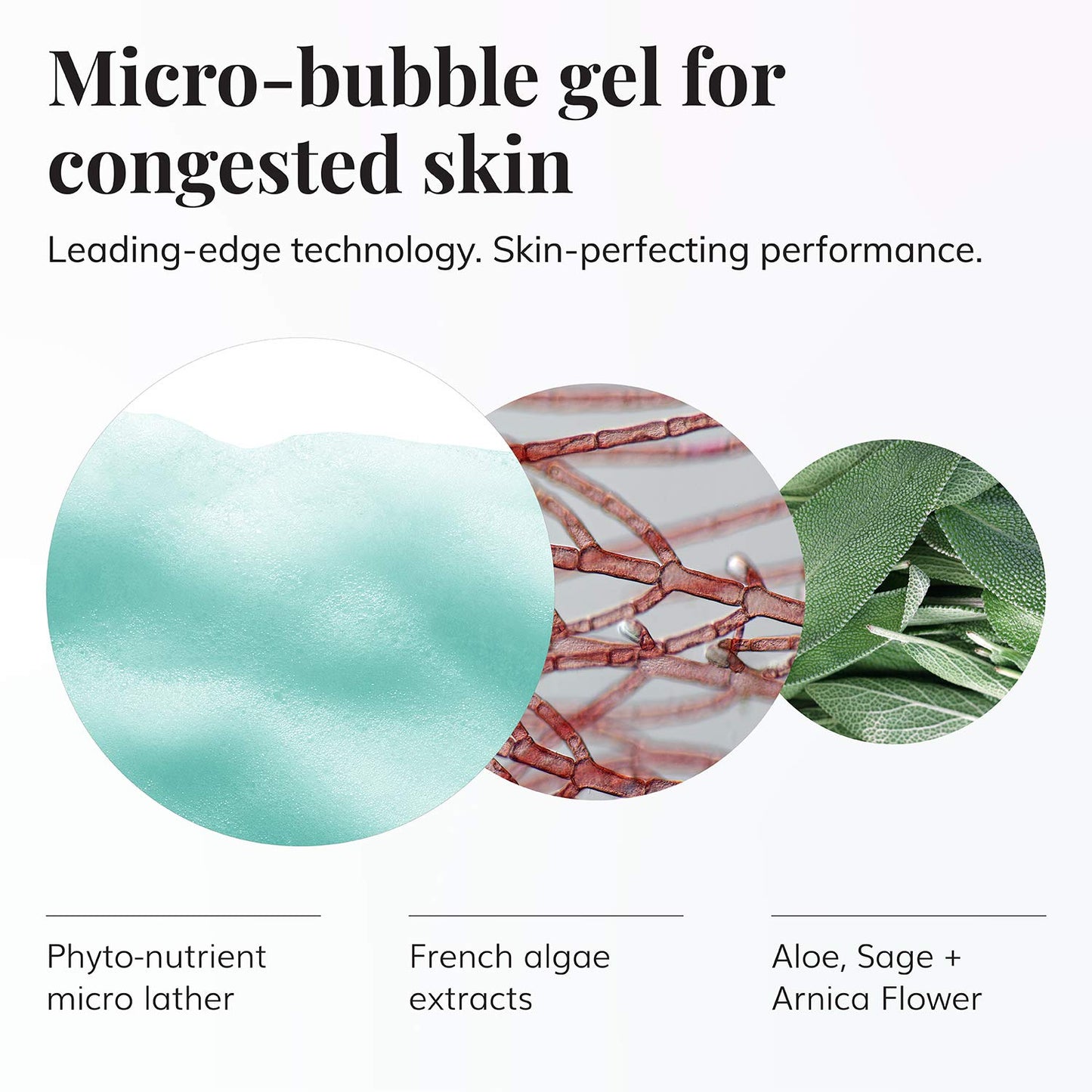 Le Mieux Phyto-Nutrient Cleansing Gel - Purifying, Microbubble Foaming Face Wash with Algae & Hyaluronic Acid, Makeup Degreasing and Pore Cleansing Facial Wash, No Parabens or Sulfates (6 oz / 180 ml)