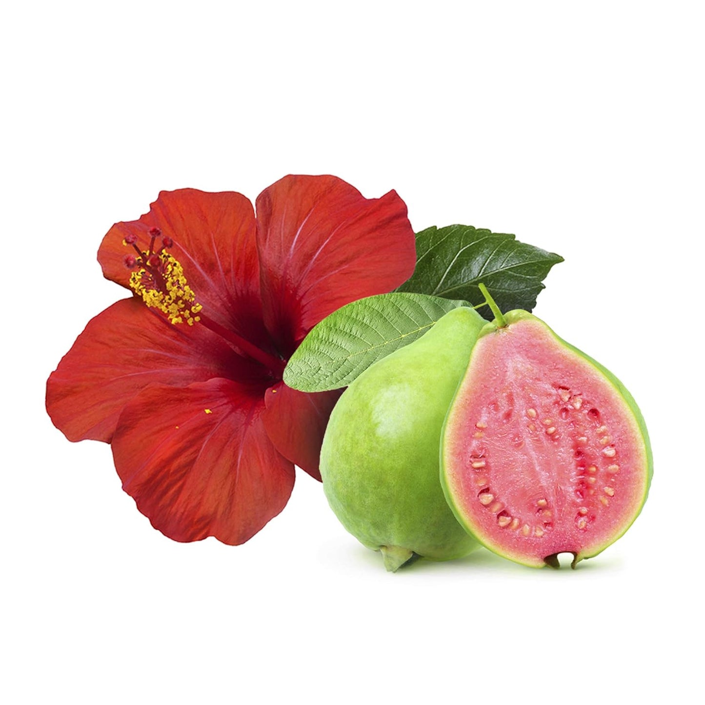 Sweet & Sassy Shampoo & Conditioner Bars - All Natural, Organic, SLS Free | Hawaiian Hibiscus, Made in USA