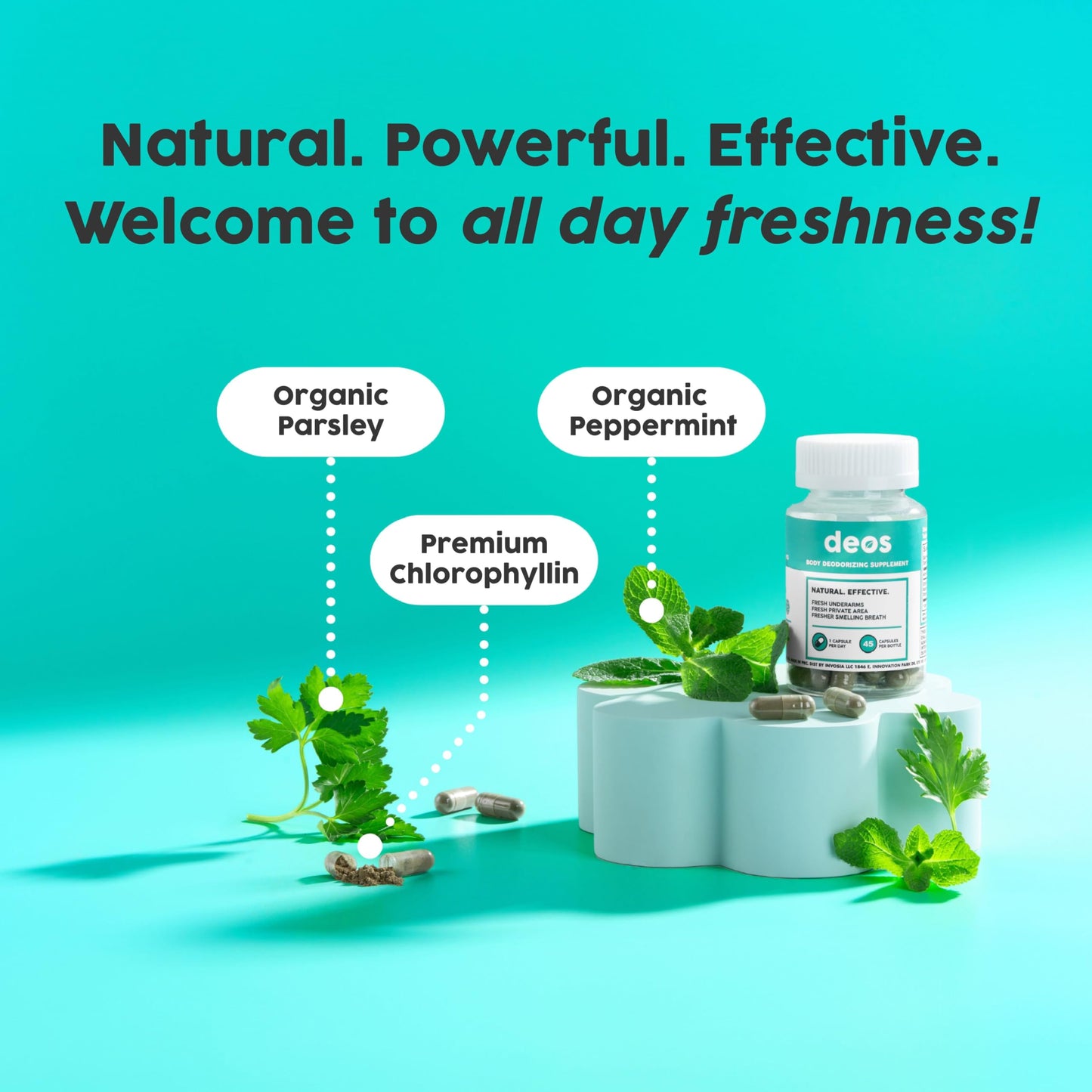 DEOS Internal Deodorant Supplement β Full Body Deodorizer for Gut Health, Skin Health, Detox & Digestion Support β Natural Odor Control Chlorophyll Pills for Head-to-Toe Freshness | 30 Capsules