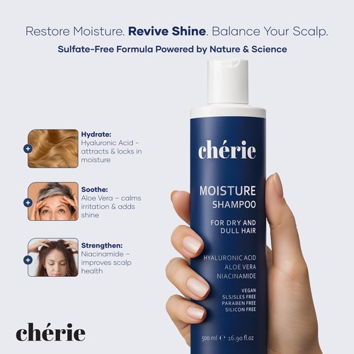 Moisturizing Shampoo with Hyaluronic Acid, Aloe Vera & Niacinamide, Hair Shampoo for Dry Hair, Non-Sulfate, Non-Paraben & Non-Silicone, For Women And Men, 16.90 oz, Champú Hidratante para Cabello Seco