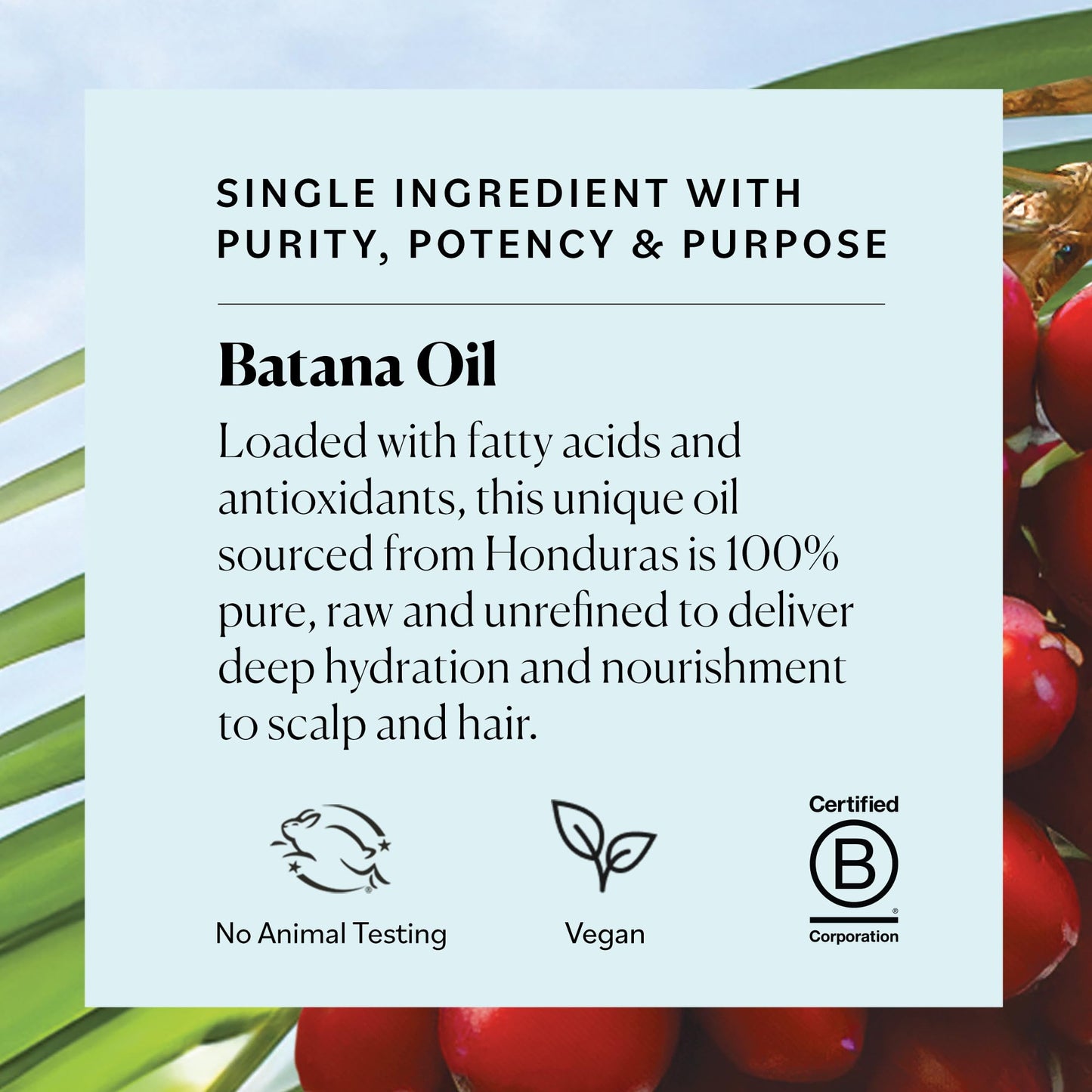 Sky Organics RAW & UNREFINED BATANA OIL, 100% Pure, from Honduras, to Support Scalp & Stronger Fuller-Looking Hair, Intensive Hair Conditioning & Hair Repair Mask, 4 fl oz