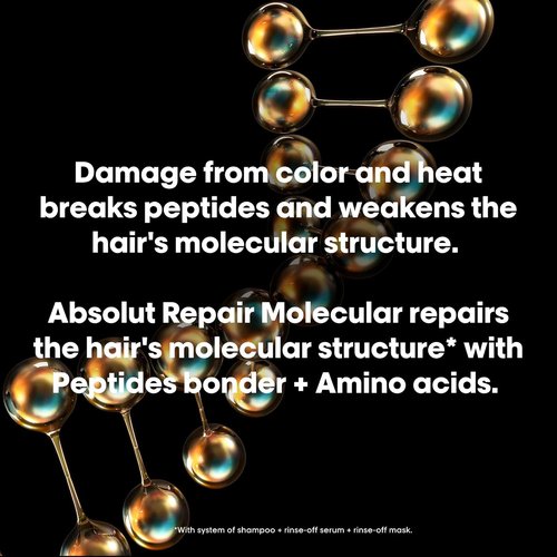 L'Oréal Professionnel Paris Absolut Repair Shampoo & Mask Set - Nourishing Repair for Dry, Damaged Hair