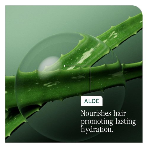 BIOLAGE Hydra Source Detangling Solution - Paraben-Free Formula for Dry Hair, Reduces Frizz & Flyaways