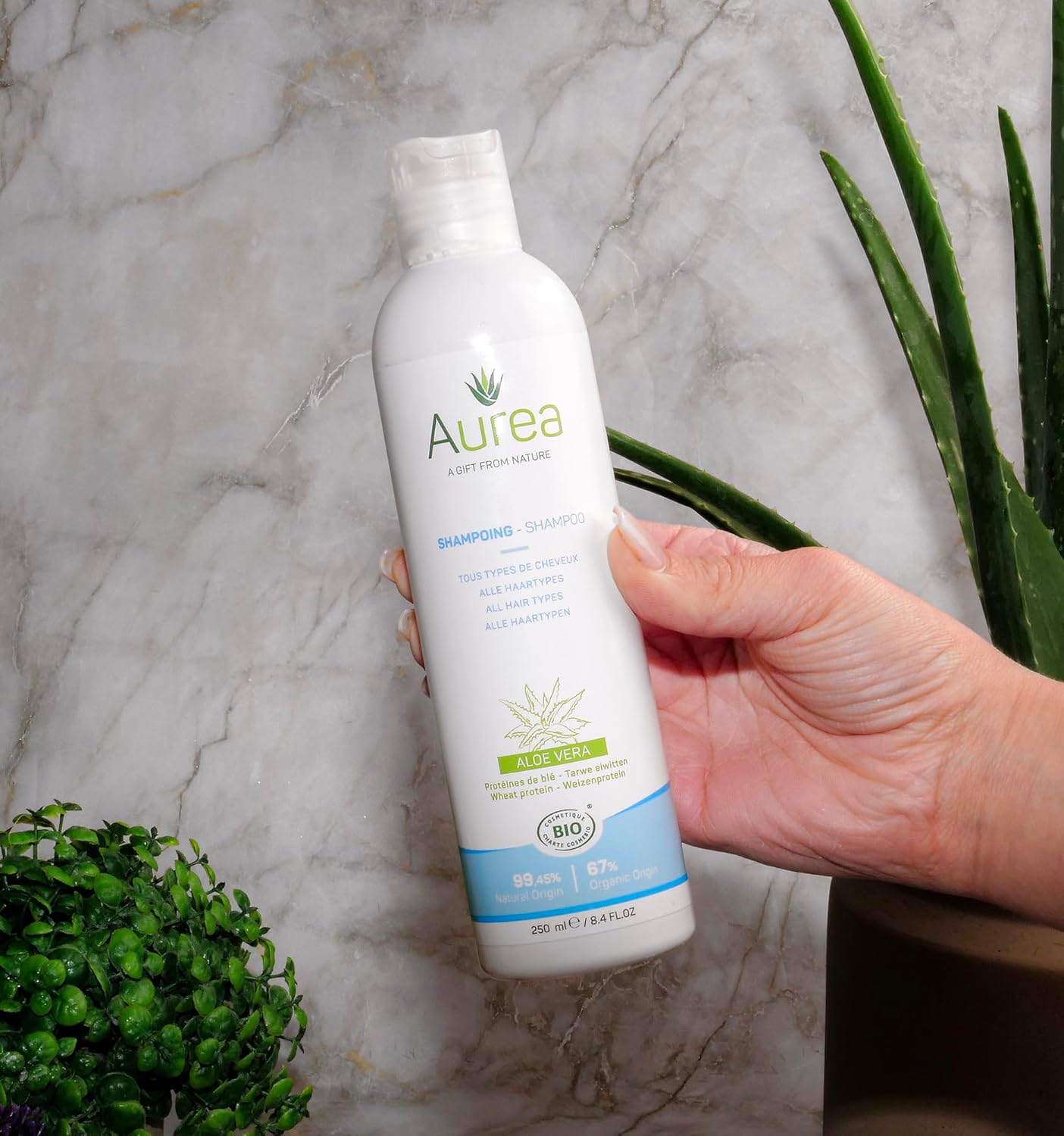 Aurea Aloe Vera Shampoo - Moisturizes & Soothes Hair - Restores Volume & Accelerates Growth - 8.4 Oz
