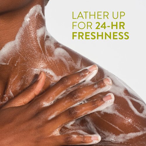 Native Body Wash Contains Naturally Derived Ingredients | For Women & Men, Sulfate, Paraben, & Dye Free Leaving Skin Soft and Hydrating