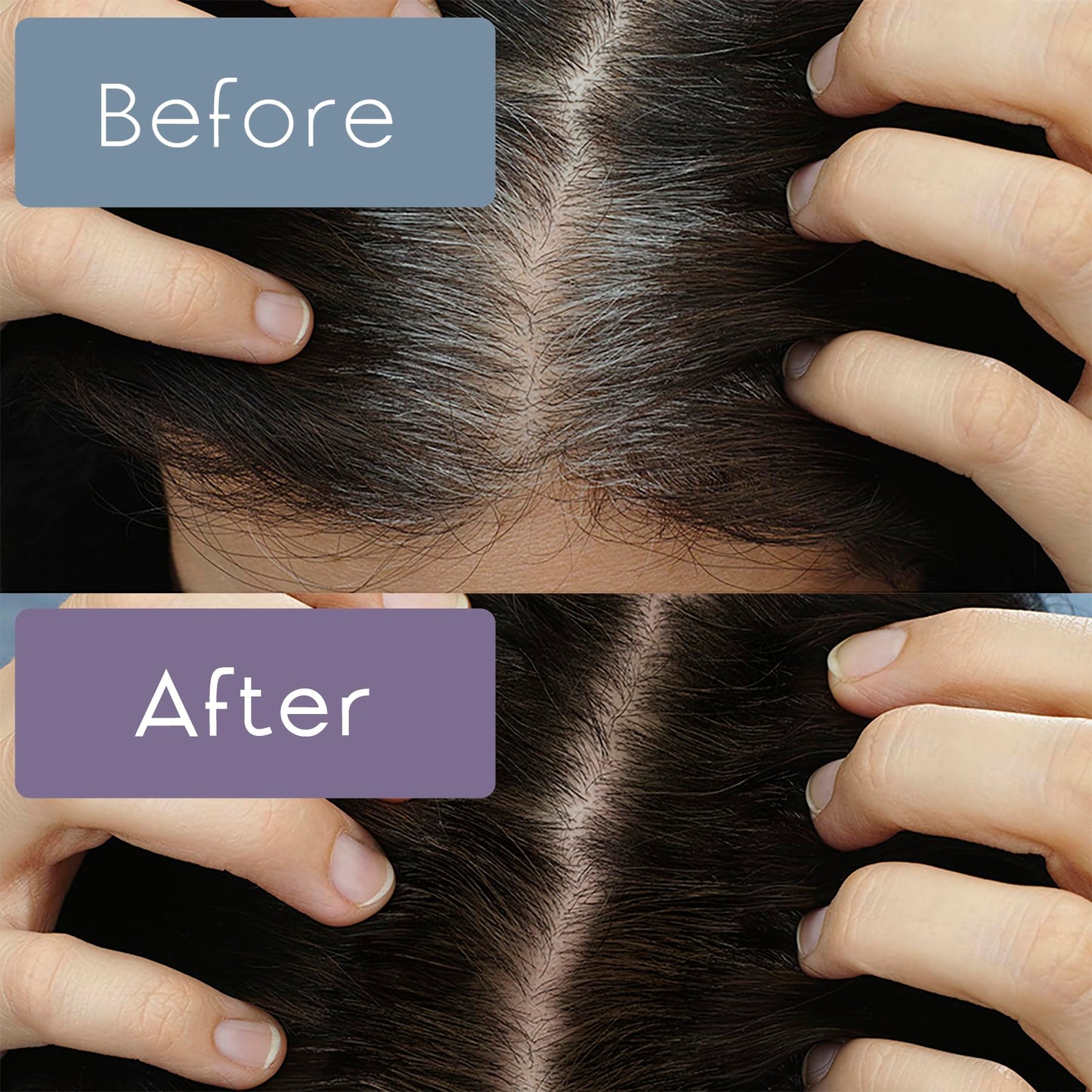 Root touch up, temporary hair color to cover gray hairlines, eyebrows, Mustache & Beards Greyfree 2 PACK (ASH BROWN)