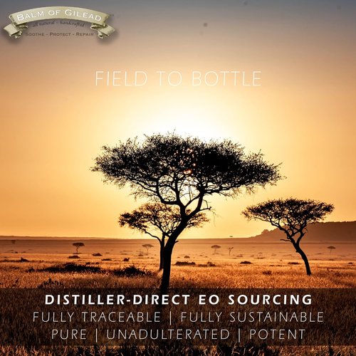Balm Of Gilead Foot Healing Cream - Frankincense & Myrrh Moisturizer for Sensitive Skin | Deeply Nourishing Relief