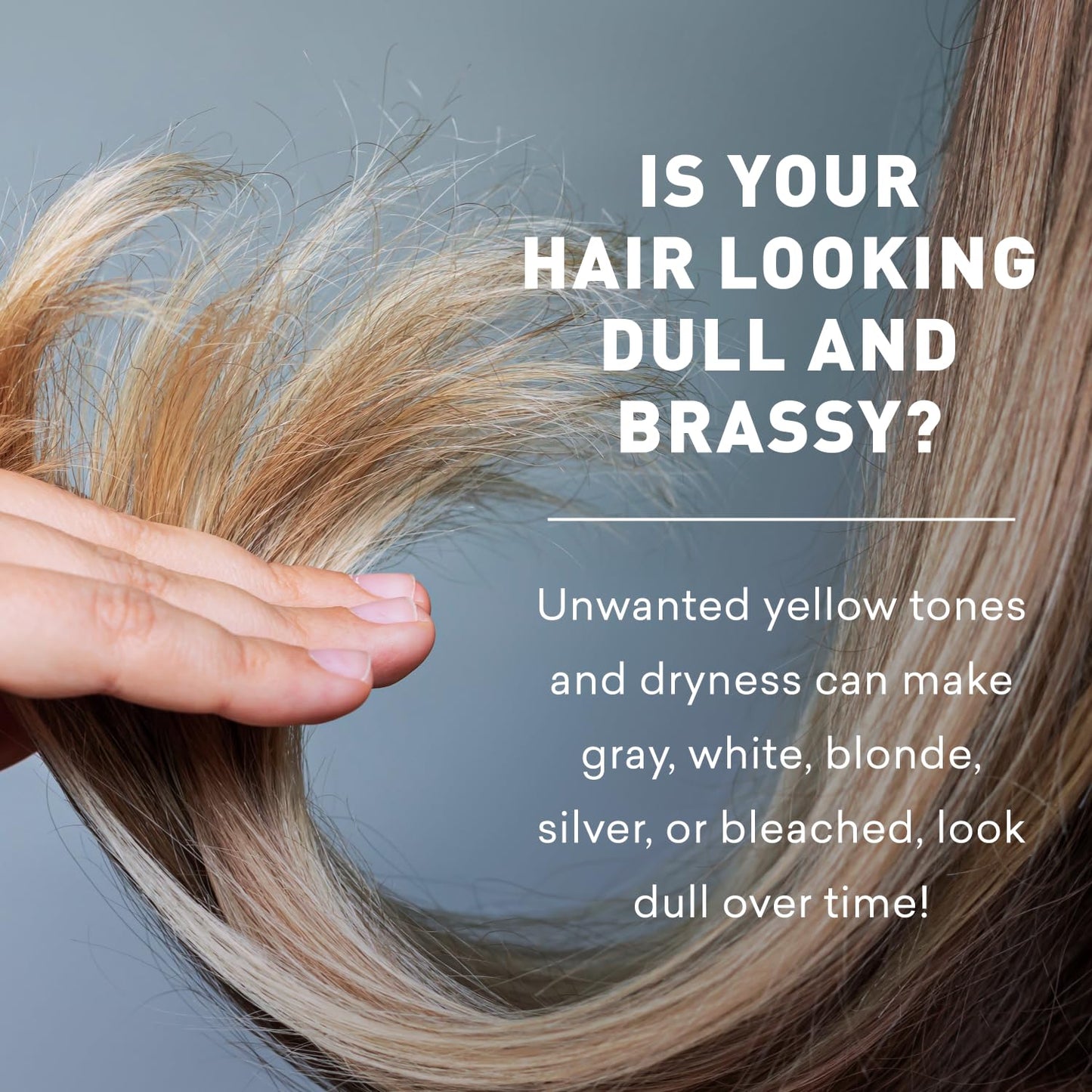 Just Nutritive Purple Conditioner for Blonde, Gray, White, Silver, and Bleached Hair - Eliminate Brassiness, Boost Shine, Repairs, Hydrates, Sulfate-Free, Paraben-Free, Gentle on Scalp, 8 oz.