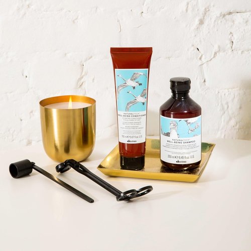 Davines Wellbeing Conditioner - Gentle Cleansing & Hydrating for All Hair Types | Echinacea Phytoceuticals, 5.07 Fl Oz