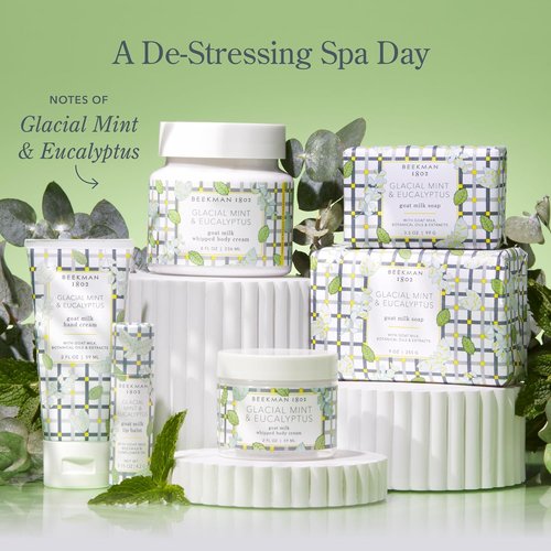 Beekman 1802 Glacial Mint & Eucalyptus Soap & Hand Wash Gift Set - Spa-Inspired Hydration Duo (2 Count)