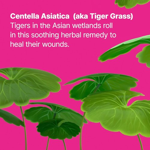 Dr.Jart+ Cicapair Tiger Grass Camo Drops - Tinted Serum SPF 35 with Centella Asiatica | Korean Skin Tint, 1.01 Fl Oz