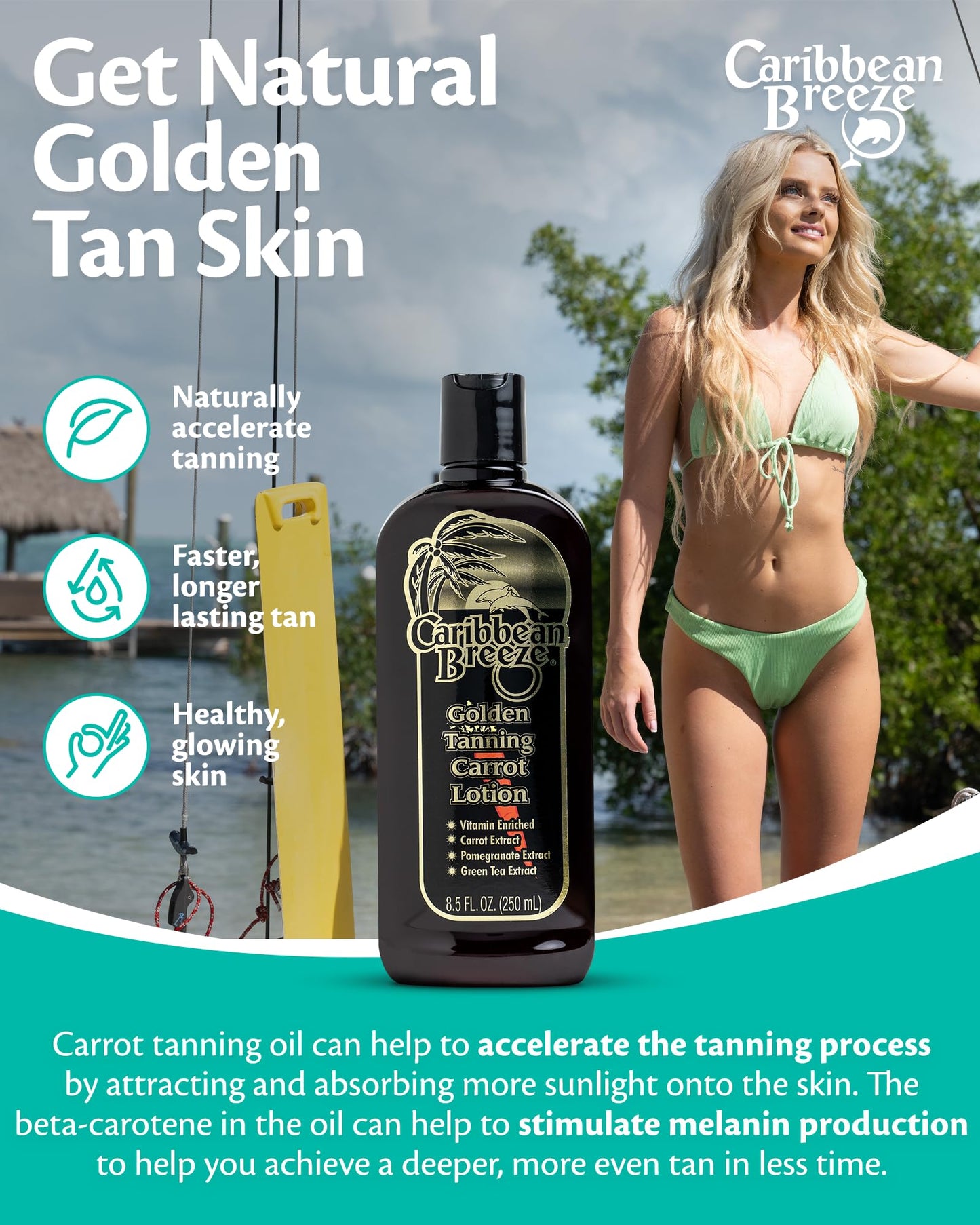 Caribbean Breeze Ultimate Carrot Tanning Oil Outdoor, Tanning Oil Spray with Coconut Oil, Aloe Extracts, Rich in Anti-Oxidants, Moisturizes the Skin and Anti-Aging Properties, 8.5 oz (250 ml)