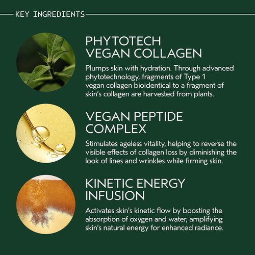 Aveda Advanced Botanical Kinetics Plumping Cream - Firming & Wrinkle Reduction | Vegan | 1.7 Fl Oz