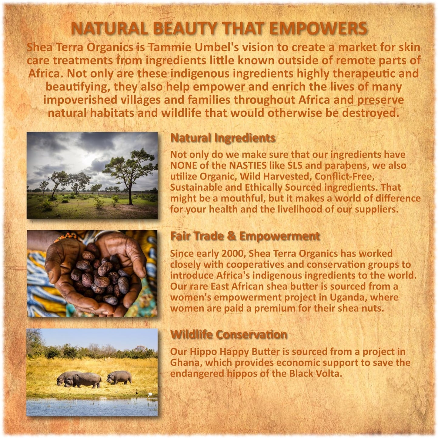 Shea Terra Organics Shea Nilotik’ Oil - Fragrance-Free Daily Moisturizer for Sensitive Skin | 8 oz