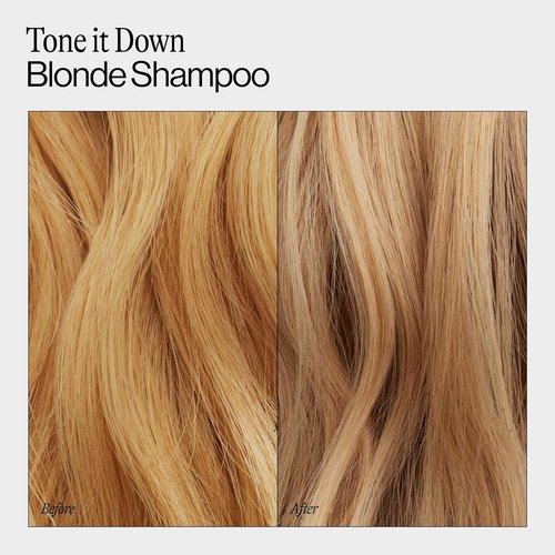 Eva NYC Purple Shampoo - Gentle Anti-Brass Formula for Blonde, Gray & Lightened Hair - Adds Shine & Softens - 10 fl oz