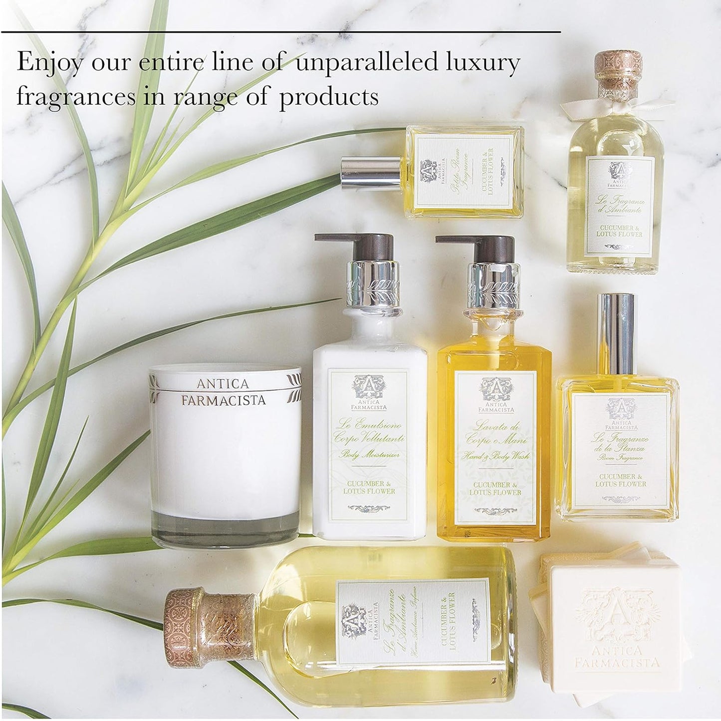 Antica Farmacista Hand & Body Wash - Luxurious Hydrating Cleanser - Lemon, Verbena & Cedar, 10 fl oz