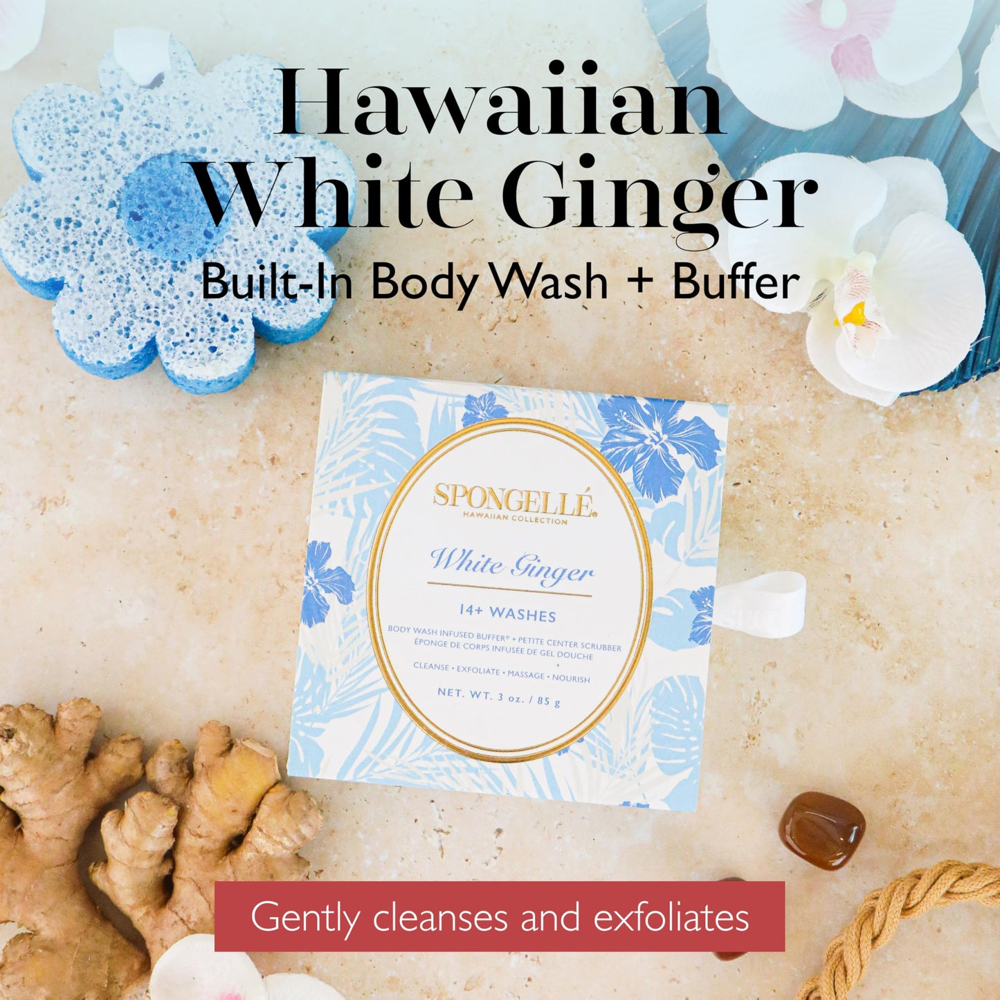 Spongellé White Ginger Hawaiian Buffer | Body Wash Infused Sponge with Awapuhi & Kukui Nut Oil | Exfoliates & Hydrates | 14+ Uses