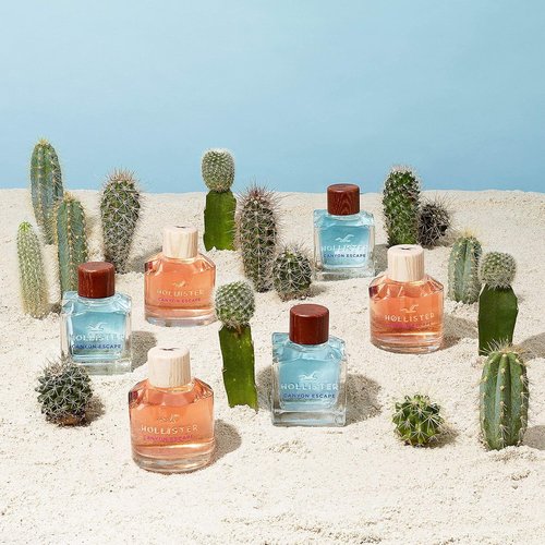 Hollister Canyon Escape Men's EDT Spray - Refreshing Fragrance | 3.4 oz Bottle
