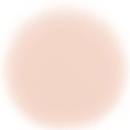 TEMPTU Air Perfect Canvas Airbrush Starter Kit, 1N Porcelain