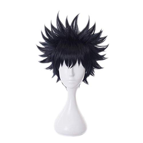 XiongXiongLe Anime Wig Cosplay Jujutsu Kaisen Fushiguro Megumi Black Replacement Hairs Costume Hair Replacement Wigs For Girl Boy Party Halloween Christmas(Fushiguro Megumi)