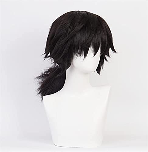 Aadesso Tomioka Giyuu Cosplay for Demon 鬼滅 Kimetsu No Men Women Heat Resistant Synthetic Hair s Halloween