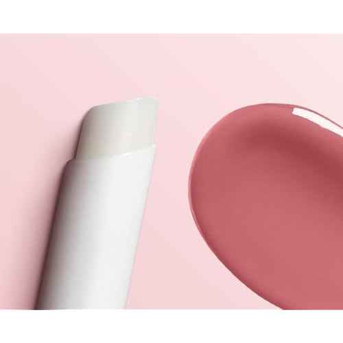 COVERGIRL Outlast All-Day Lip Color with Moisturizing Topcoat, New Neutrals Shade Collection, Good Mauve, Pack of 1