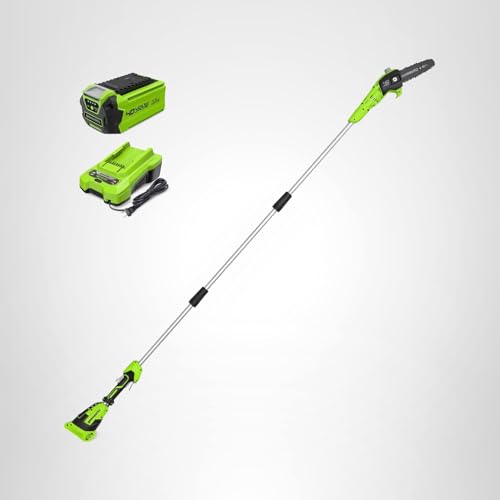 Greenworks 40V 8-Inch Cordless Polesaw, 2.0Ah Battery and Charger Included PS40B210