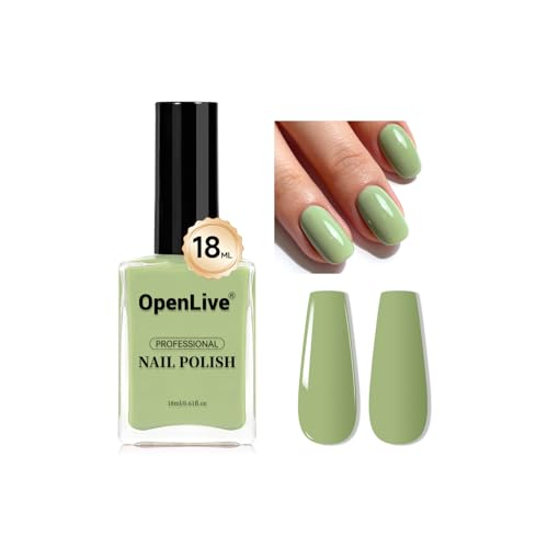 OpenLive 18ml Rose Red Nail Polish Large Volume Quick Dry Nail Polish, Long Lasting Shine, Fingernail Toenail Nail Art DIY Home Travel Nail Art Gift